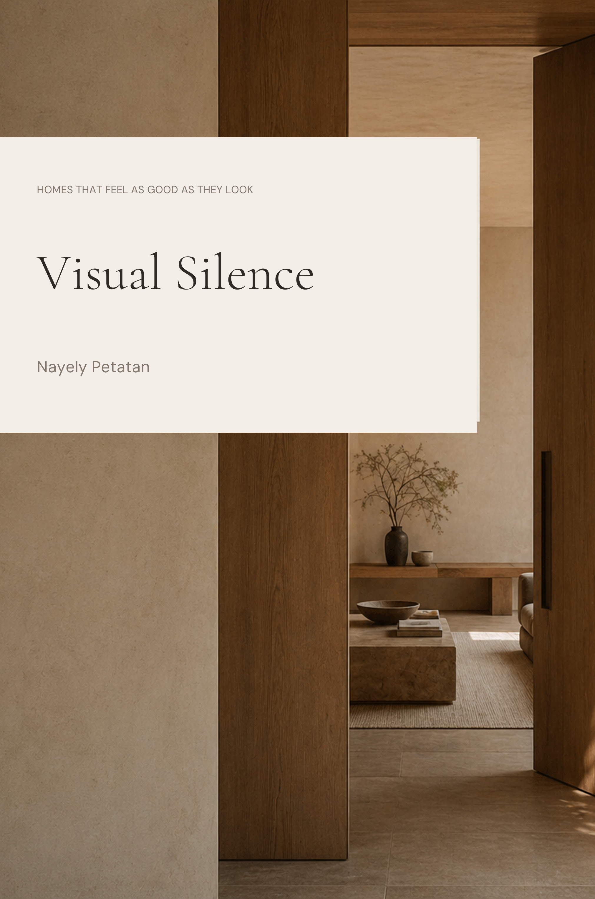 Cover of Visual Silence by Nayely Petatan